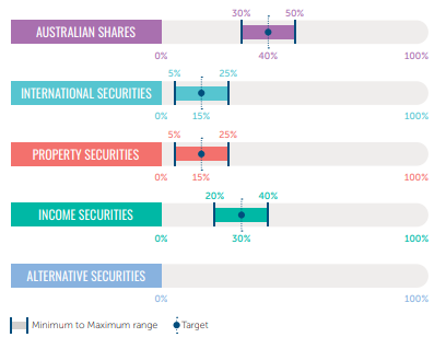 Diagram of asset allocation for single professional woman mentioned in the case study