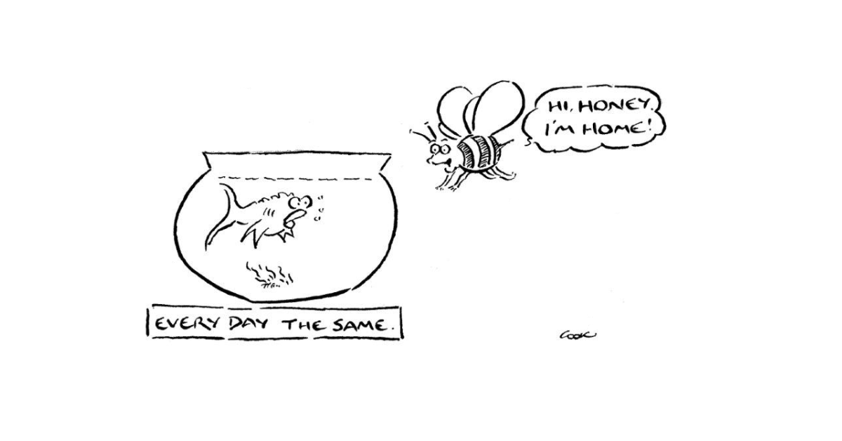 220617 bees cartoon